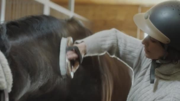 Close Câmera Portátil Tiro Mulher Capacete Equitação Escovando Casaco Cavalo — Vídeo de Stock