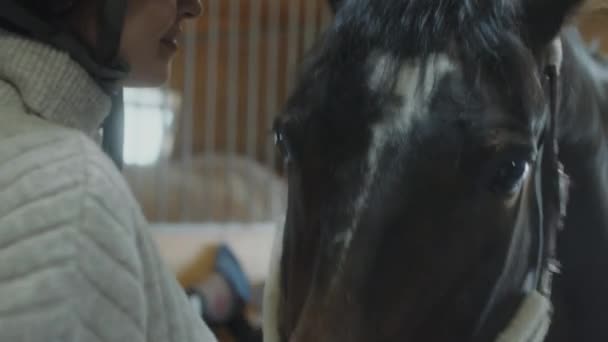 Zamknij Ręczny Aparat Fotograficzny Ujęcie Kobiety Kasku Karmienie Konia Smakołykami — Wideo stockowe