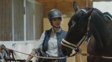 Kasklı neşeli kadın ahır işçisi eyer tutuyor, dizginleri kontrol ediyor ve atları okşuyor.