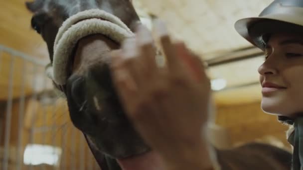 骑着头盔的年轻微笑女子在马厩里爱抚可爱的马的特写 — 图库视频影像