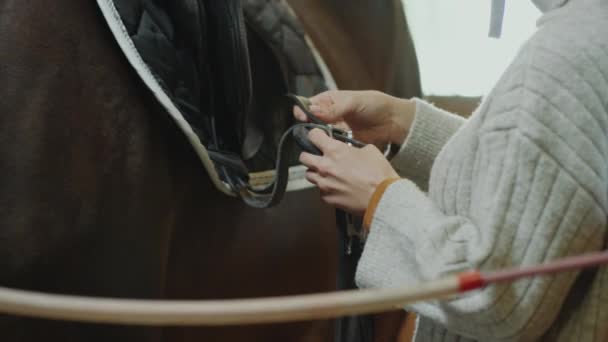 Cavaleiro Fêmea Tiras Fixação Capacete Sela Couro Cavalo Estábulo Enquanto — Vídeo de Stock