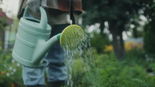 Обрезанный Снимок Неузнаваемых Фермеров Поливающих Растения Огороде — стоковое видео