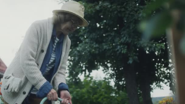 白种人老年妇女在菜园浇灌植物的低角度拍摄 — 图库视频影像