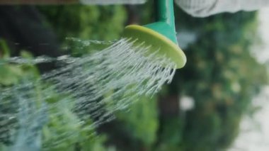 Yeşil bitkileri sulayan ve sebze bahçesiyle ilgilenen Eldelry kadınının dikey format videosu