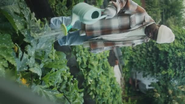 成熟的非裔美国人在蔬菜园浇灌绿色植物的垂直格式照片 — 图库视频影像