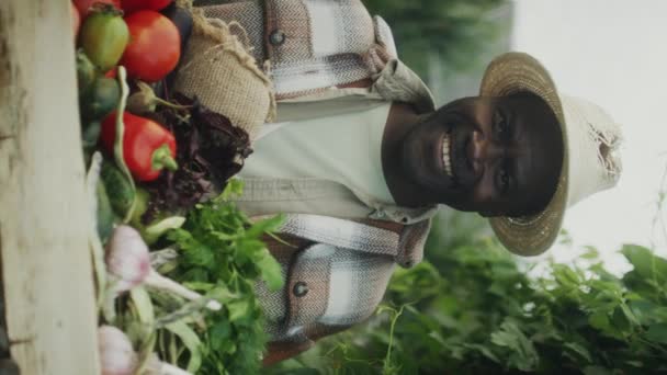 Vertikal Porträttbild Glad Afroamerikansk Man Som Håller Låda Med Nyskördade — Stockvideo