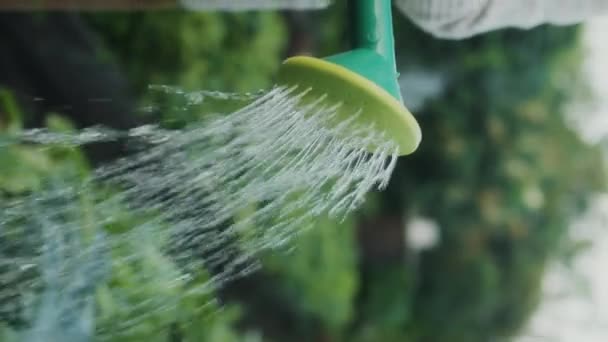精灵妇女在照料菜园的同时浇灌绿色植物的垂直格式视频 — 图库视频影像