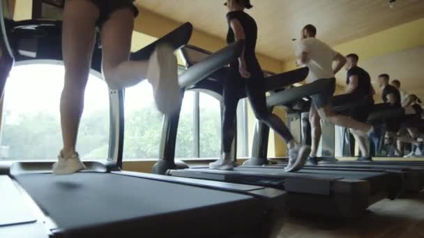 Low Angle Shot Group Men Women Sportswear Running Treadmills While — Stock Video