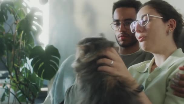 Loving Couple Sitting Sofa Living Room Petting Adorable Fluffy Cat — Stock Video