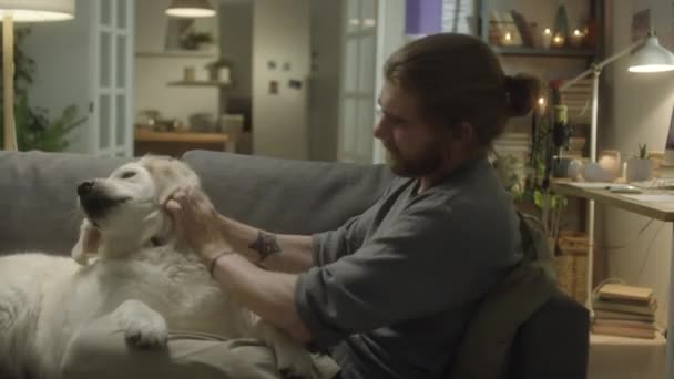 Średnie Ujęcie Mężczyzny Siedzącego Kanapie Pieszczącego Uroczego Psa Golden Retrievera — Wideo stockowe