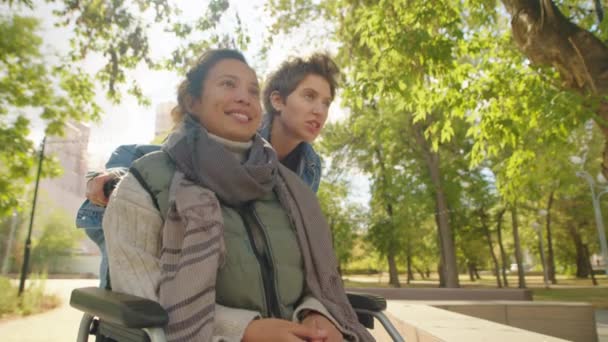 在公园散步的时候 坐在轮椅上与女友谈论某件事的快乐女人的低角度镜头 — 图库视频影像