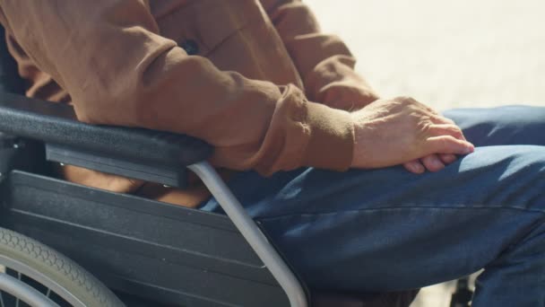 外の晴れた日に車椅子で高齢者の男性の手を撫で認識できない女性の手の作物のショット — ストック動画