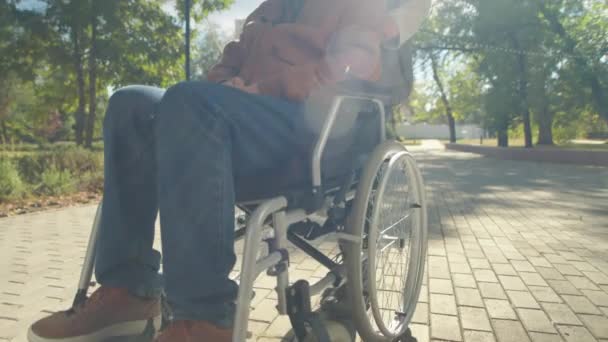 在阳光明媚的日子 坐在轮椅上与女儿在公园散步 举着一张老年男子的照片 — 图库视频影像