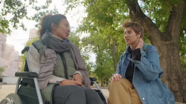 年轻女子坐在轮椅上和女友在公园里散步时交谈 — 图库视频影像