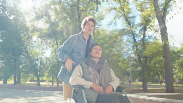 車椅子に座って 晴れた日に公園を歩く女性の友人と何かを議論する障害のある若い女性 — ストック動画