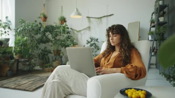 식물과 노트북을 장식된 방에서 의자에 여자의 — 비디오