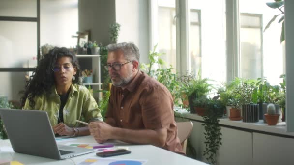 中年白人男子在办公室与年轻的拉丁女同事讨论手提电脑上的商业项目 同时在办公室与室内植物装饰 — 图库视频影像