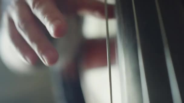 Erkek Ellerinin Müzik Çalarken Çift Bas Ile Telleri Kopardığı Yakın — Stok video