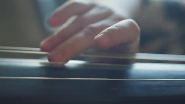 Çift Bas Çalan Tanınmayan Bir Caz Müzisyeninin Dikey Çekimi — Stok video
