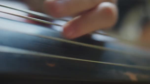 演奏双簧管的无法辨认的乐器演奏家的双手垂直射击 — 图库视频影像