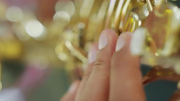 Vertical Close Shot Hands Instrumentalist Playing Saxophone Music — Stock Video