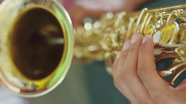 サクソフォンを演奏するジャズミュージシャンの手の垂直クローズアップ — ストック動画