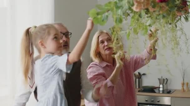 Nettes Kleines Mädchen Und Senioren Großeltern Hängen Dekorative Blume Und — Stockvideo