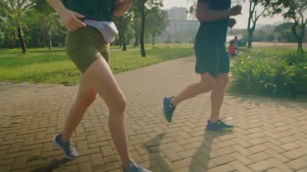 早上一起在户外训练时 在公园的人行道上穿着运动服慢跑的年轻夫妇的斜拍照片 — 图库视频影像
