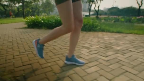 早上训练时穿着运动服在公园人行道上跑步的年轻女子的倾斜镜头 — 图库视频影像