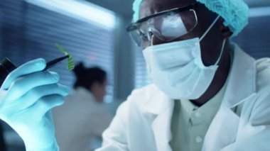 Steril eldiven, şapka, koruyucu maske ve cımbızla bitki yaprağı tutan gözlüklü Afrikalı Amerikalı bilim adamı laboratuvarda inceliyor.