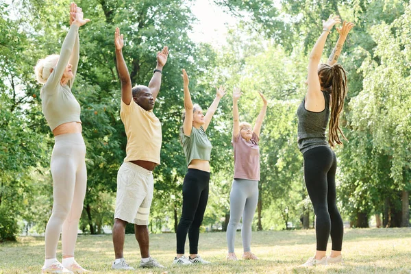 Group Senior People Exercising Together Coach Outdoors Park — Stock Photo, Image