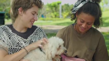 Çok ırklı Z jenerasyonundan arkadaşlar yaz günü parkta eğlenirken sevimli köpekleri okşuyor, gülümsüyor ve sohbet ediyorlar.