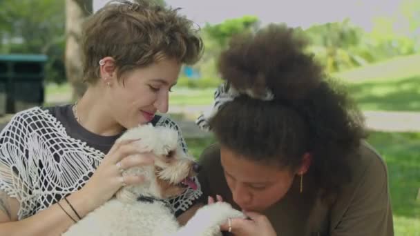 Bedrijf Van Vrolijke Gen Vrienden Aaien Mooie Hond Glimlachen Tijdens — Stockvideo