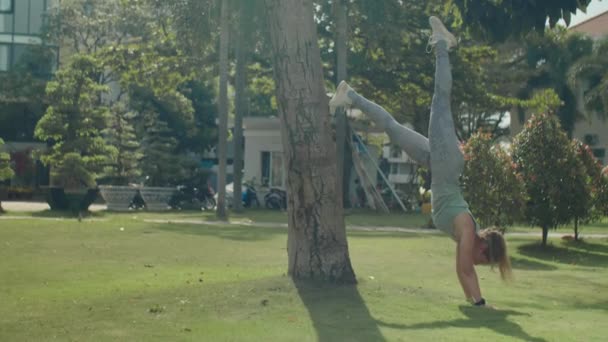 在夏天的一天 穿着运动服的强壮女人在公园的另一边手倒立 而男人在公园里做倒立动作 拍了一整张照片 — 图库视频影像