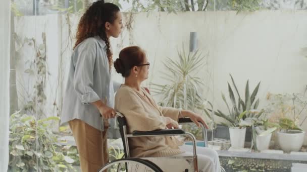 Pełne Ujęcie Młodej Opiekunki Pchającej Starszą Kobietę Wózku Inwalidzkim Kierunku — Wideo stockowe