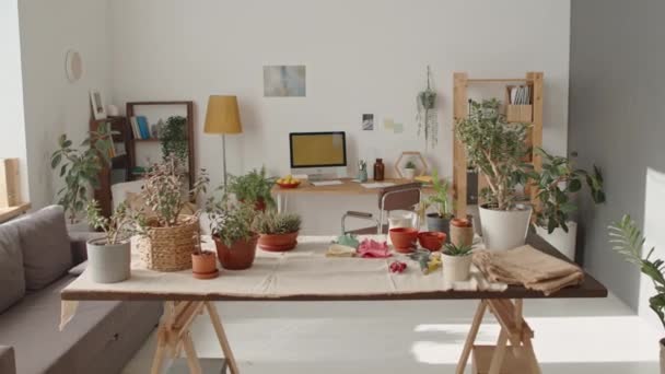 Zoom Shot Modern Ruang Tamu Nyaman Dengan Tanaman Rumah Tangga — Stok Video