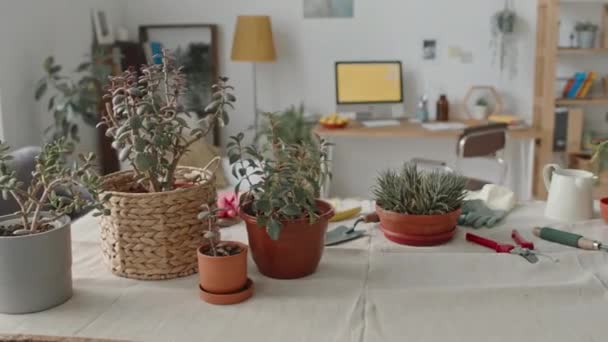 Aufnahmen Von Zimmerpflanzen Gartengeräten Handschuhen Auf Einem Mit Tuch Bedeckten — Stockvideo
