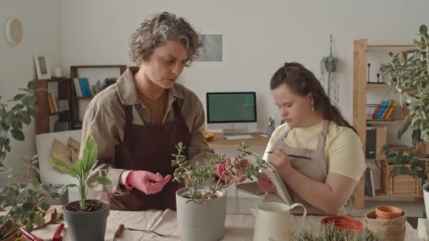 Önlüklü Sendromlu Kız Notlar Alırken Çiçekçi Kadın Stüdyodaki Saksı Yenileme — Stok video
