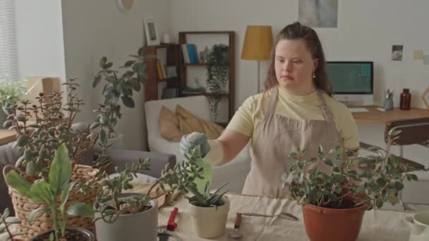 Önlüklü Eldivenli Bir Kız Evdeki Çiçeklere Sıkarken Onlara Bakıyor — Stok video