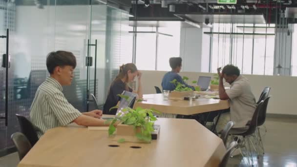 Jóvenes Empresarios Multiétnicos Que Trabajan Moderno Cómodo Espacio Coworking Durante — Vídeos de Stock