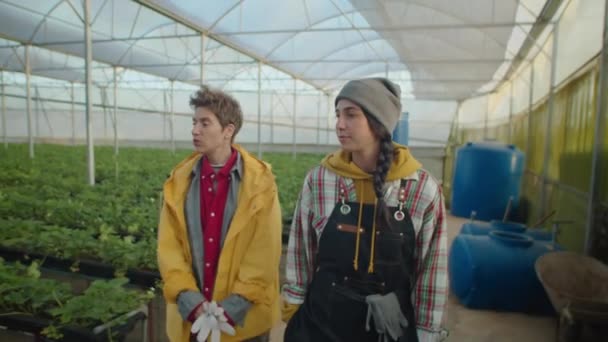 Dos Trabajadoras Jóvenes Caminando Por Granja Invernadero Fresas Discutiendo Filas — Vídeos de Stock