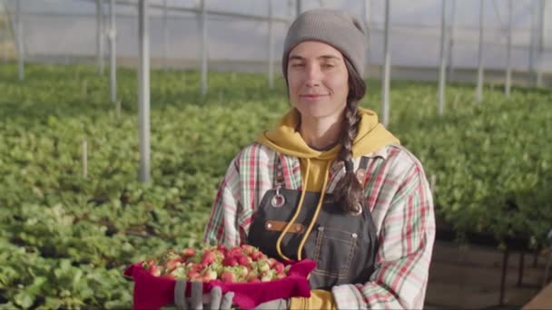 Portré Fiatal Női Mezőgazdasági Dolgozó Gazdaság Konténer Érett Eper Mosolyog — Stock videók