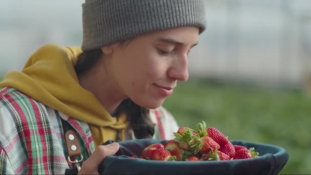 Medium Nærbilde Ung Kvinnelig Bonde Nyter Lukten Nyplukkede Modne Jordbær – stockvideo