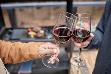 Açık havada piknik yaparken kadeh kaldıran genç çiftin yakın çekimi.