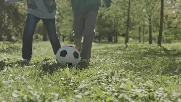 两个小孩在公园玩耍时 在绿草上冲向摄像机 踢着足球 拍下了慢镜头 — 图库视频影像