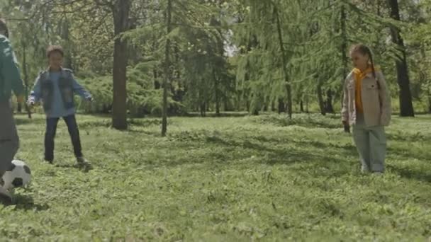 夏の日に公園で緑の芝生でサッカーボールで遊ぶ小さな子供の会社の全長ショット — ストック動画