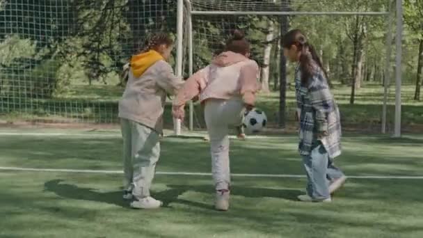 Petits Enfants Multiethniques Jouant Soccer Ensemble Sur Terrain Dans Parc — Video