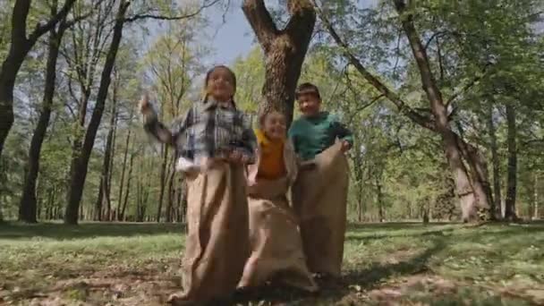 Filmagem Completa Crianças Brincalhão Pulando Sacos Divertindo Parque Dia Verão — Vídeo de Stock