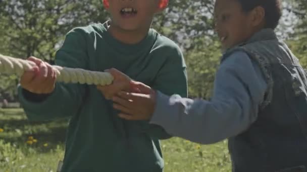 Багатоетнічні Маленькі Хлопчики Тягнуть Мотузку Разом Граючи Буксир Відкритому Повітрі — стокове відео