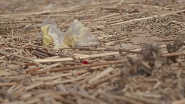 Fechar Nenhuma Pessoa Tiro Terra Coberto Com Galhos Resíduos Plástico — Vídeo de Stock
